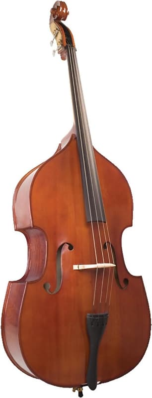 (Mint) Palatino VB-029 Bergamo Solid Hand-Carved Upright Bass | Reverb