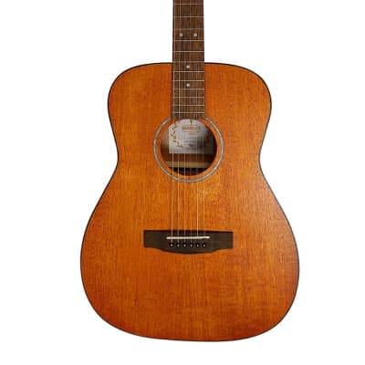 Berkeley Souvenir Acoustic Guitar image 1