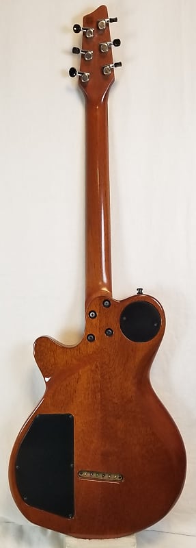 Godin MultiAc ACS-SA Rosewood with Synth Access Nylon Electric