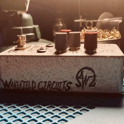 Wakefield Circuits Holland Drive-Tube Amp Tremolo & OD 2022 - Hand painted image 4