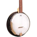 Gold Tone AC-5 Composite 5-String Banjo