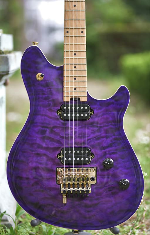 Evh purple store