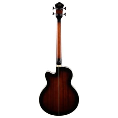 Ibanez AEB10E Acoustic-Electric Bass, Dark Violin Burst image 6
