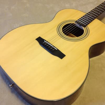 Bristol BM-16 000 Acoustic Guitar image 2
