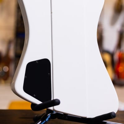 Epiphone サンダーバード　CUSTOM SHOPジャンク品 Epiphone サンダーバード CUSTOM SHOPジャンク品
