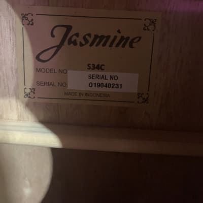 Jasmine S34C Acoustic Guitar W/case image 3