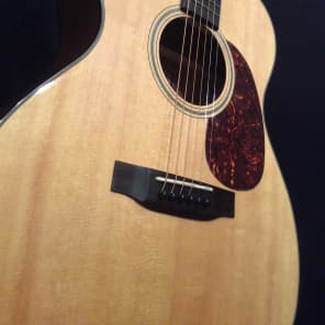 Sigma SF18 Acoustic, w/HSC , 12 Choice points image 9
