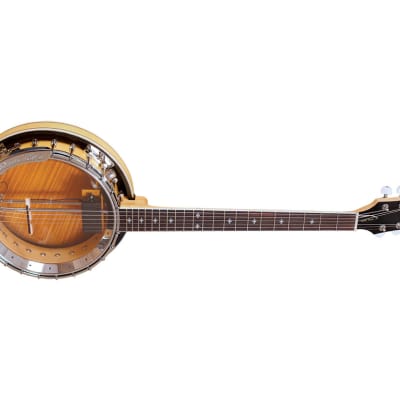 Gold Tone Professional 6-String Banjitar image 4