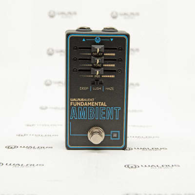 Walrus Audio Fundamental Ambient Reverb | Reverb