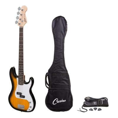 Casino P-Style Electric Bass Guitar (Tobacco Burst) for sale