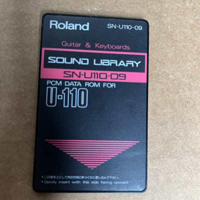 Roland SN-U110-09 Guitar & Keyboards 80s and 90s