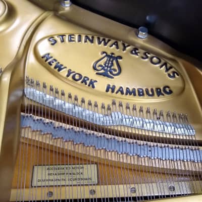 Steinway&Sons Model L Grand Piano image 6