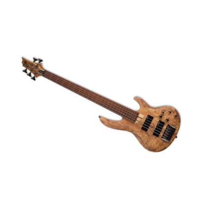ESP LTD B-205SM Fretless 5-String Electric Bass Guitar with Roasted Jatoba Fingerboard, Ash Body, Spalted Maple Top, and 5-Piece Maple or Jatoba Neck (Right-Handed, Natural Satin) image 6