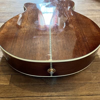 SaeHan Acoustic Electric Rare | Reverb