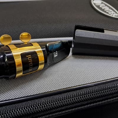 Jupiter Altsaxophon JAS1100TSQ Twilight Smoke - Alto Saxophone image 14