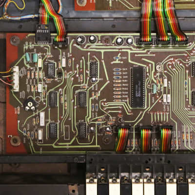 1983 Siel Cruise Vintage Analog Synthesizer Keyboard Rare Mono Synth Poly Hybrid Made in Italy image 22