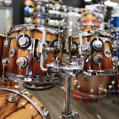 DW Collector's Series Exotic Standard Maple 6-Piece Shell Pack 8/10/12/14/16/22 (Natural To Burnt Toast Fade over African Chen Chen w/ Nickel Hardware) image 4