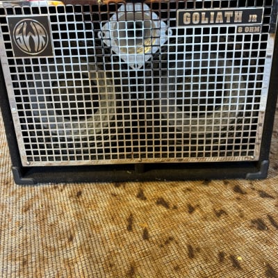 SWR GOLIATH III junior 2x10 bass cabinet | Reverb Canada