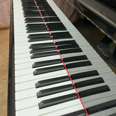 Baby grand piano, marca steinlager, 5’8” image 4