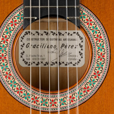 Graciliano Perez flamenco guitar “mixed earth” 2024 image 10