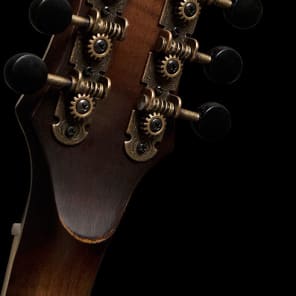 Washburn M117SWK Vintage Mandolin 2 Point Double Cutaway With Case -Dealer image 3