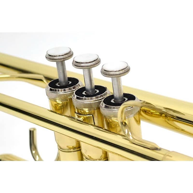 J. Michael J Michael / TR-200 [Bb Trumpet] | Reverb