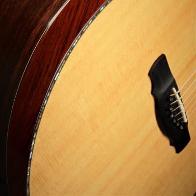 Ryan Cathedral Grand Fingerstyle - Sitka Spruce & Indian Rosewood 2003 *VIDEO* image 20