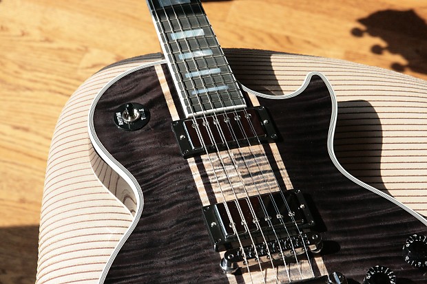 Gibson les paul shop scorpion