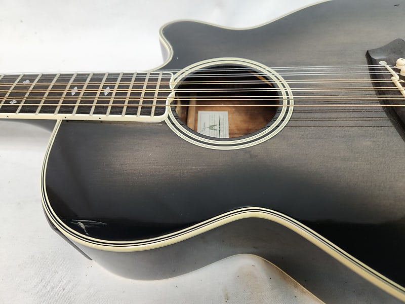 Takamine NPT110-12 Black/Grey | Reverb