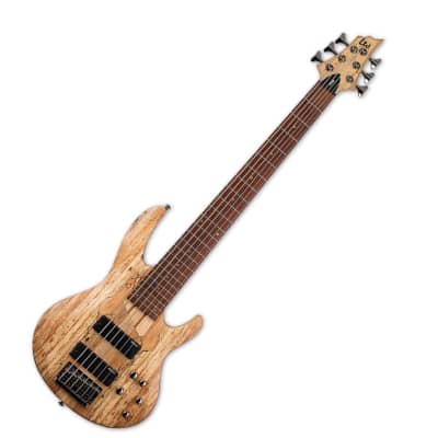 ESP LTD B-206SM 6-String Right-Handed Bass Guitar with Ash Body, Maple and Jatoba Neck, and Roasted Jatoba Fingerboard (Natural Satin) image 5