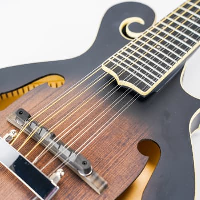 Gold Tone I-F12 Gold Tone F-Style 12-String Mando-Guitar w/ Foam Case image 17