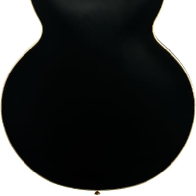 Epiphone Emily Wolfe Sheraton Stealth Electric Guitar (with Hard Bag), Black Aged Gloss image 7