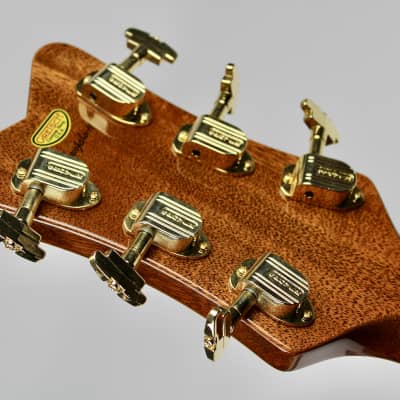 Take a look at this incredible Semi-Hollow! This Master