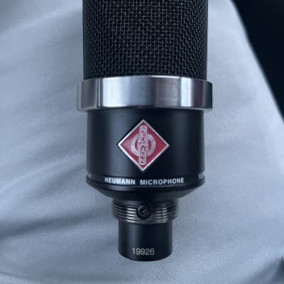 Neumann TLM 102 Large Diaphragm Cardioid Condenser Microphone