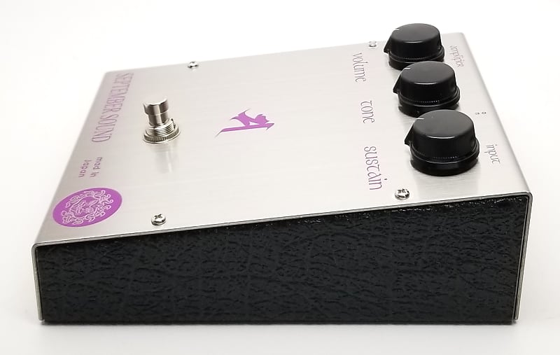 もらって嬉しい出産祝い used September Box with Condition Excellent Violetta, Sound ギター