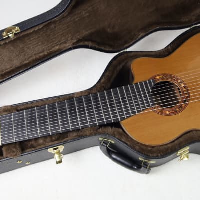 RARE Lucio Nuñez 10-String Classical Harp Guitar w/Cutaway, Arm Rest, Sound Port, Cedar/Cocobolo, TKL Hardshell Case image 21