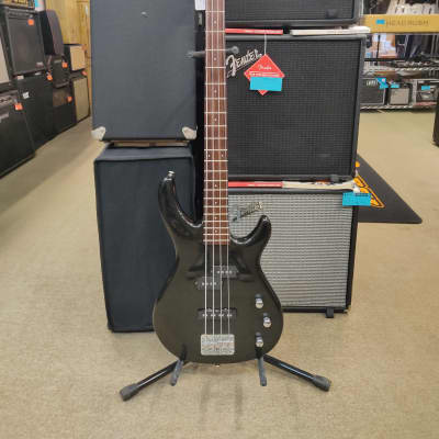 ギター MERIS 4 Meris / ENZO reviewed by 中西道彦（Yasei Collective