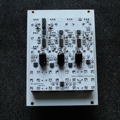 Nonlinear circuits Delaynomore3 DIY image 2