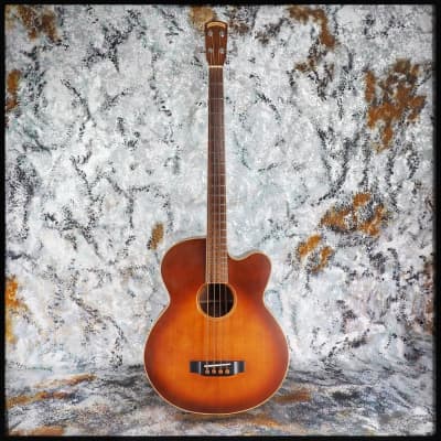 Morgan Monroe Creekside MVAB-500 Acoustic Bass image 23