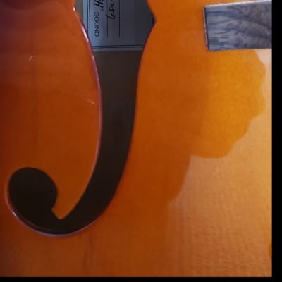 Gretsch G5120 Electromatic Hollow Body 2006 - 2013 Sunburst guitar with Roadrunner Case image 4