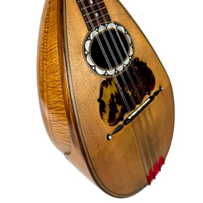 Pasquale Vinaccia Mandolin from 1883 image 4