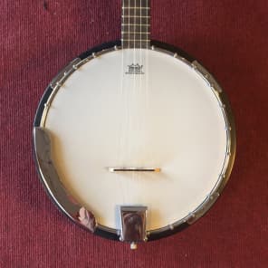 Savannah SB-100 5 String Banjo Mahogany image 2