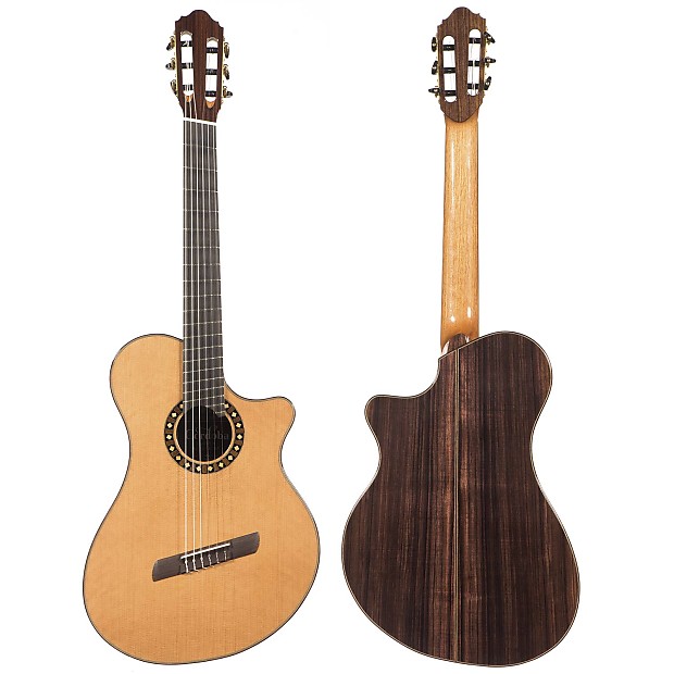 Multiscale shop classical guitar