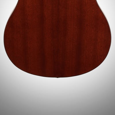 Ibanez PFT2 Tenor Acoustic Guitar, Natural image 5