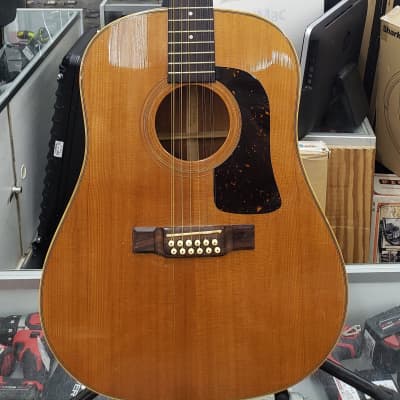 Washburn  D29S  12 String Acoustic Guitar Natural w/Hardshell case image 1