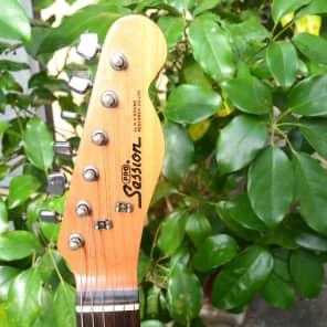 ギター Pro session telecaster thumbnail.asp?file=assets/