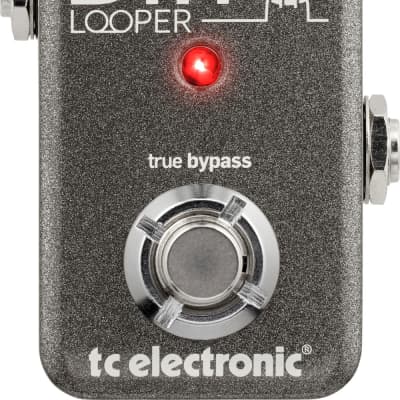 Tc Electronic Ditto Looper Effetto Looper A Pedale image 1