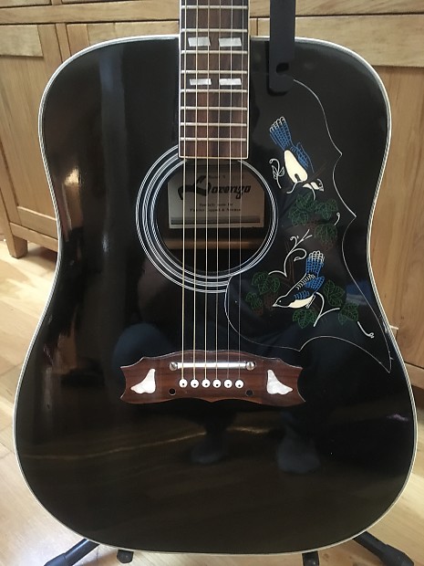 Lorenzo shop hummingbird guitar