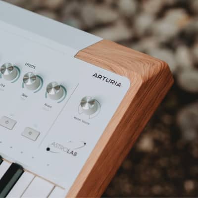 Arturia AstroLab Avant-Garde 61-Key Stage Keyboard image 8