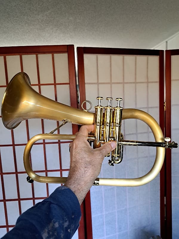 Carol Brass Euro Bell Flugelhorn 2020 Satin Reverb